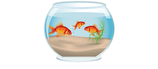 Skinny Fillers > Fish Bowl Filler > Goldfish